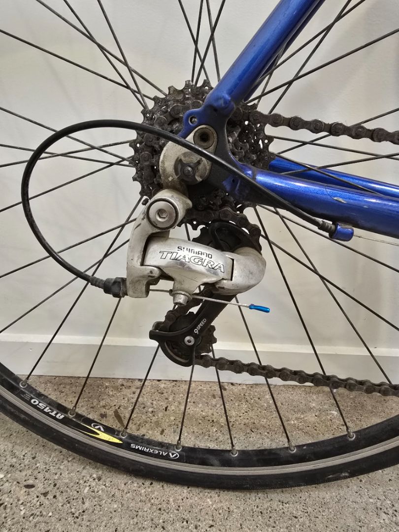 Blue Trek 1000 Road Bike, M