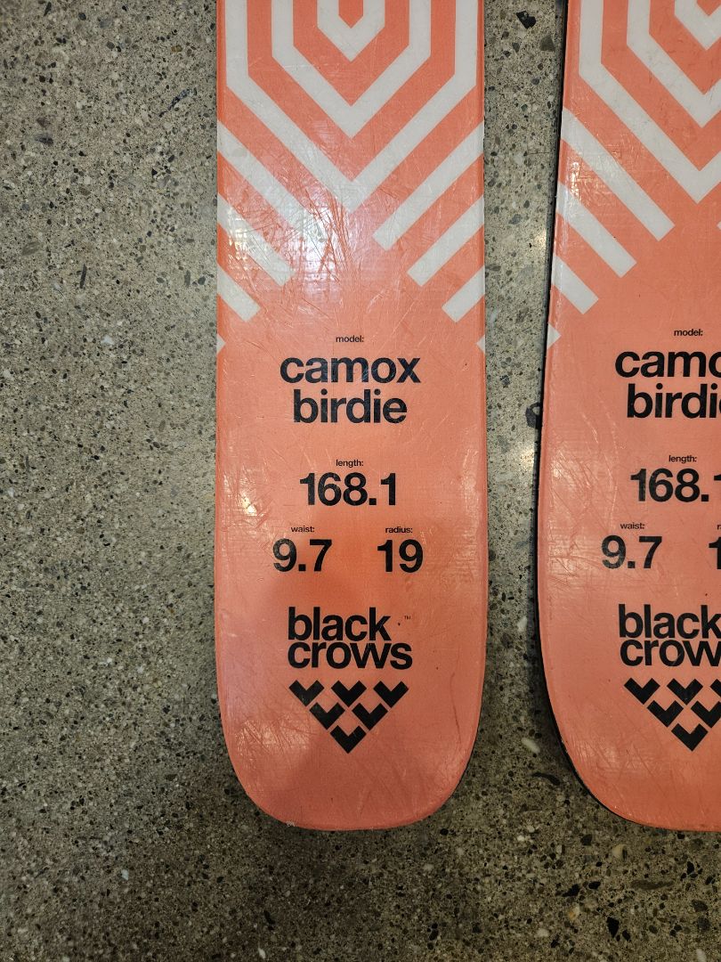 Salmon Black Crows Camox Birdie, 168.1cm