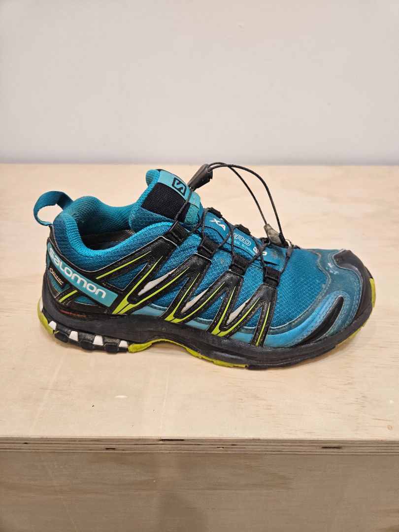 Blue Salomon XA Pro 3D GTX, EU 38