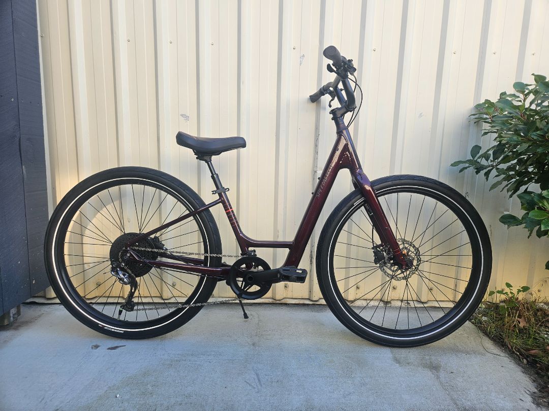 Burgundy Specialized Roll Elite Low Entry