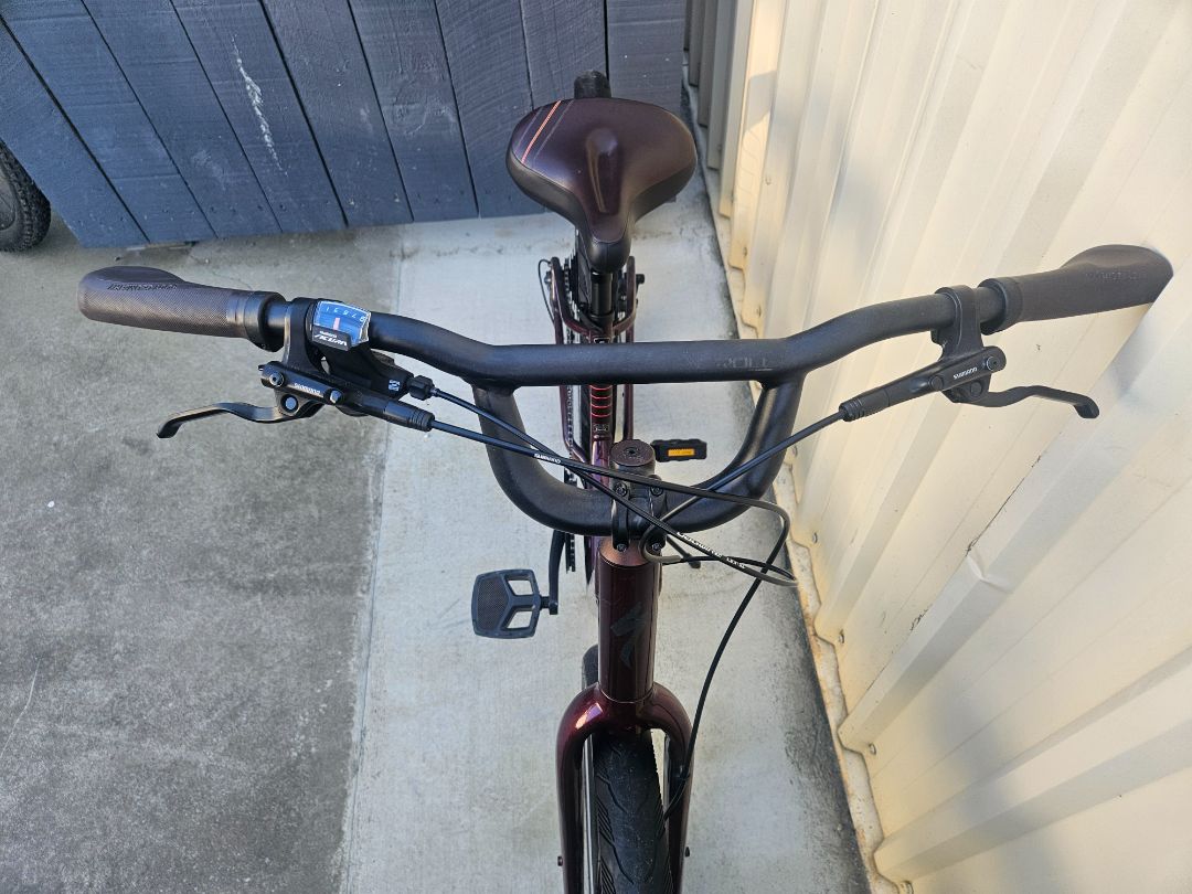 Burgundy Specialized Roll Elite Low Entry