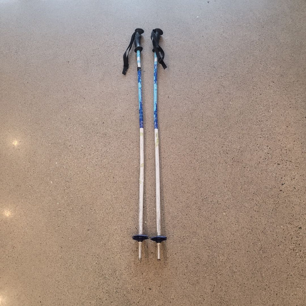 Blue  Ski Poles, 95cm