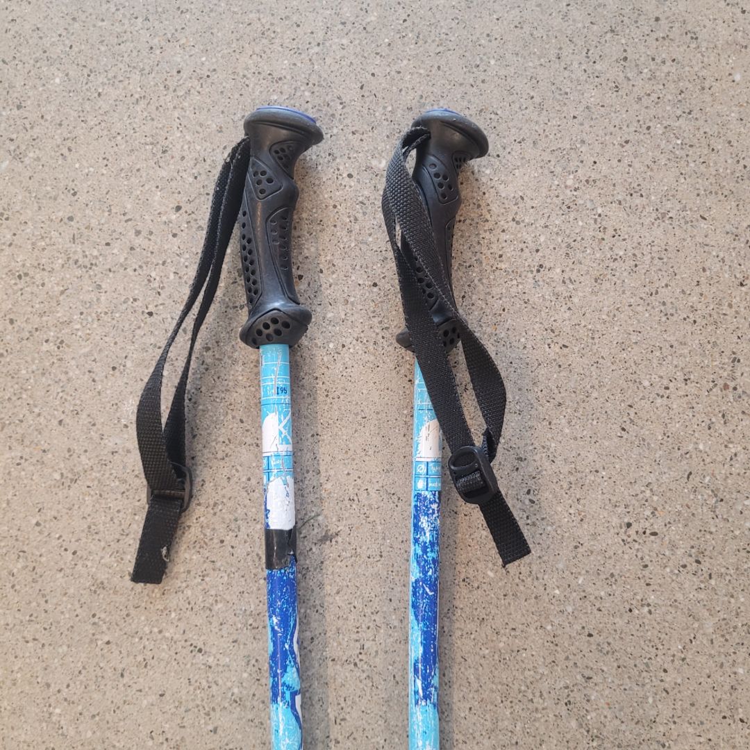 Blue  Ski Poles, 95cm