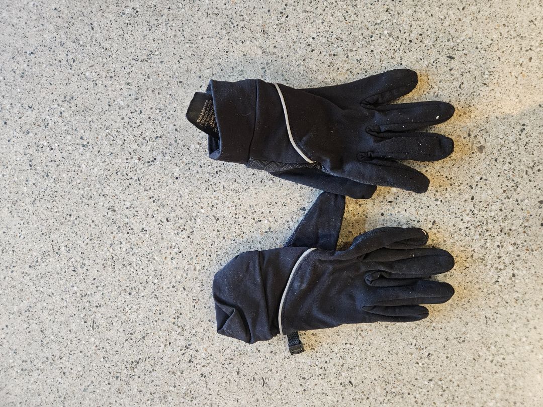 Black  Adult Ski Gloves, Small