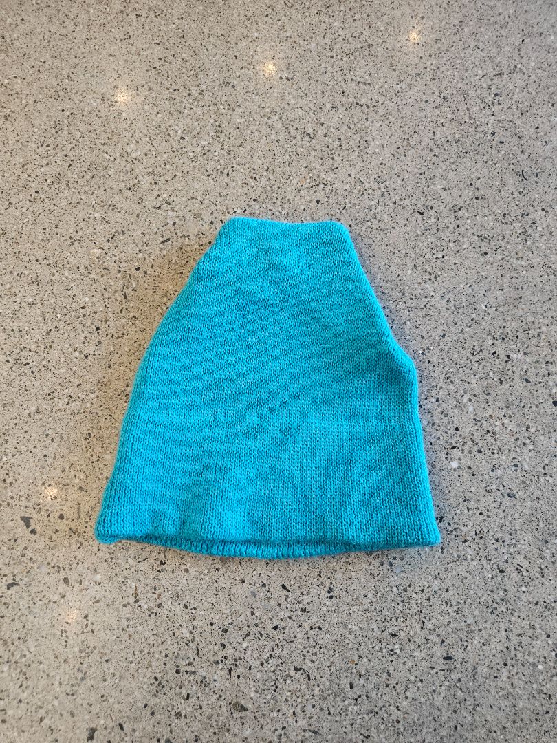 Blue  Beanie, Adult