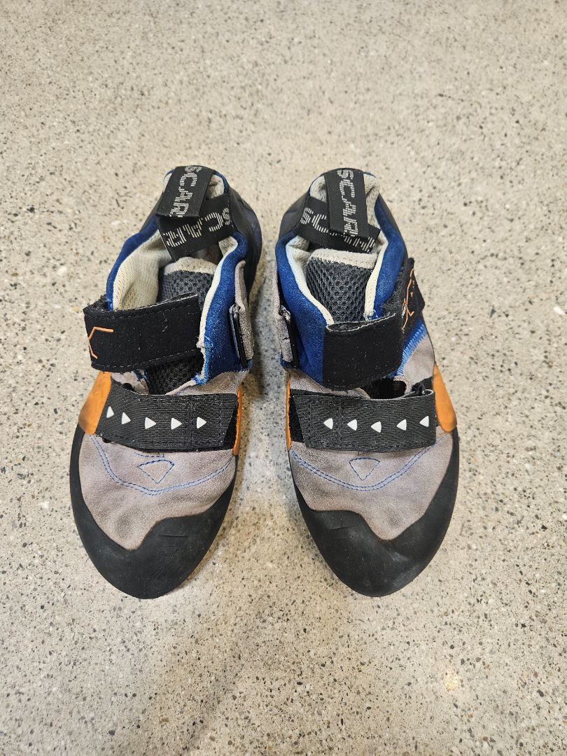 Grey Scarpa Force V, EU 38