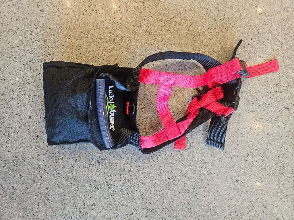 Black Lucky Bums Kids Ski Harness, Kids