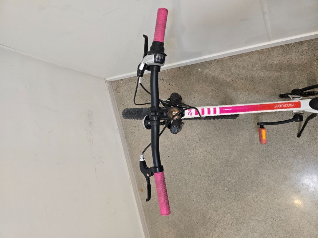 Trek Kids, 24"