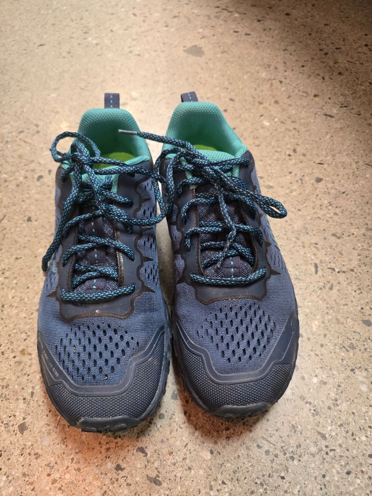 Blue Inov-8 Trail Shoes