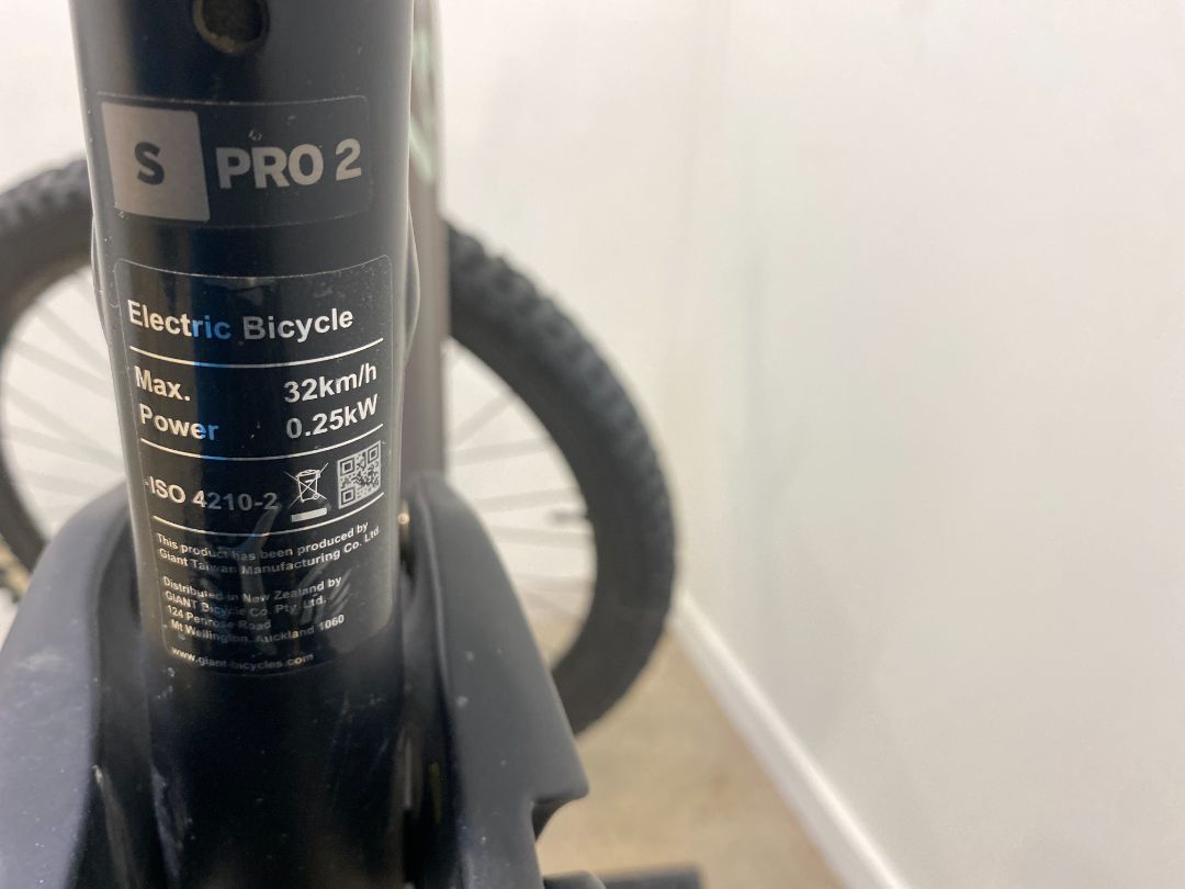 Grey/Purple Liv Intrigue X E+ Pro 2, S