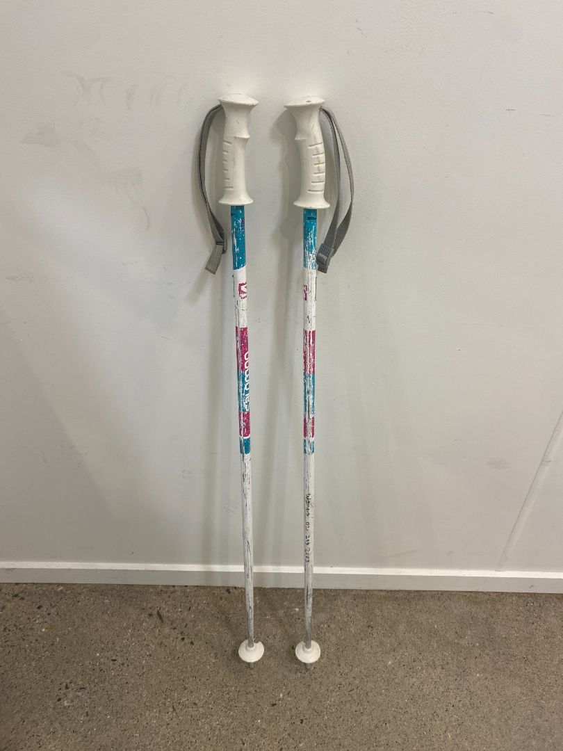 White Salomon Ski Poles, 100 cm