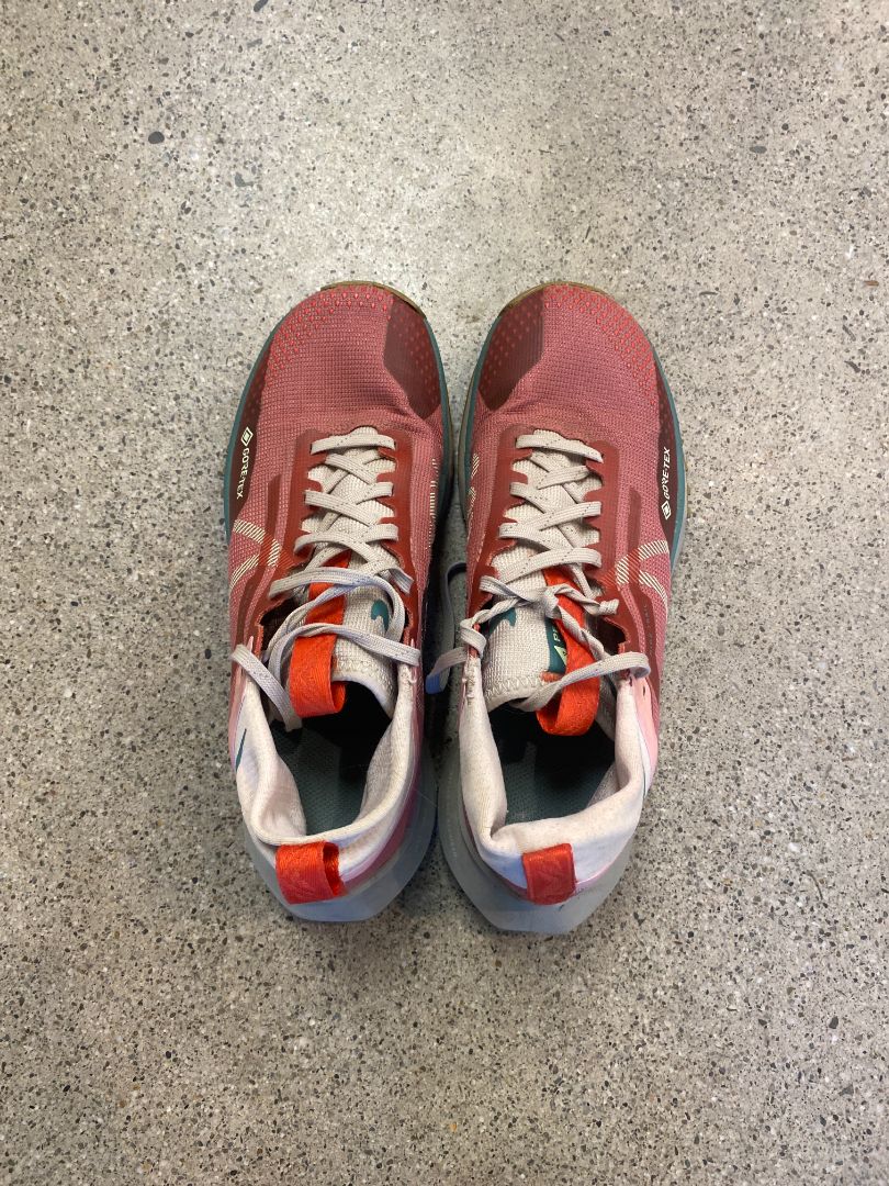 Pink Nike Pegasus Trail 4 GORE-TEX, EU 38