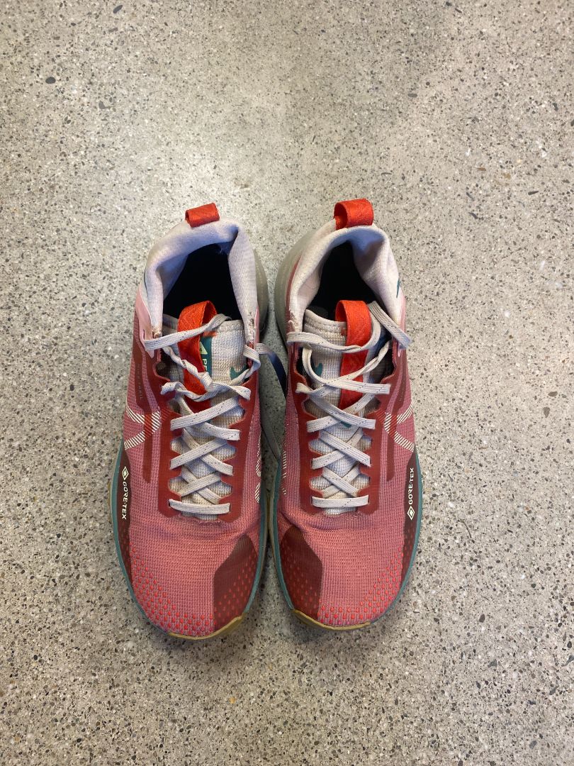 Pink Nike Pegasus Trail 4 GORE-TEX, EU 38
