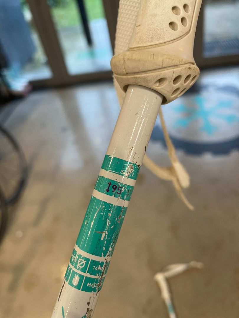 White  Ski Poles, 95 cm