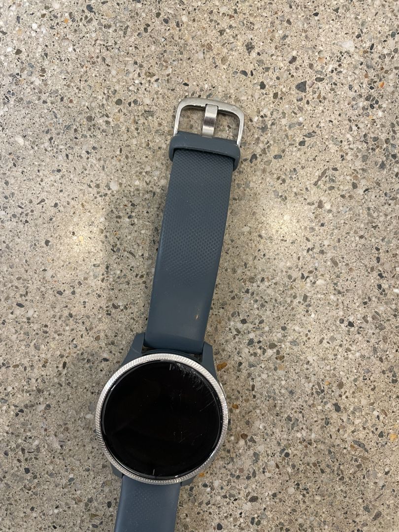 Grey Garmin Venu