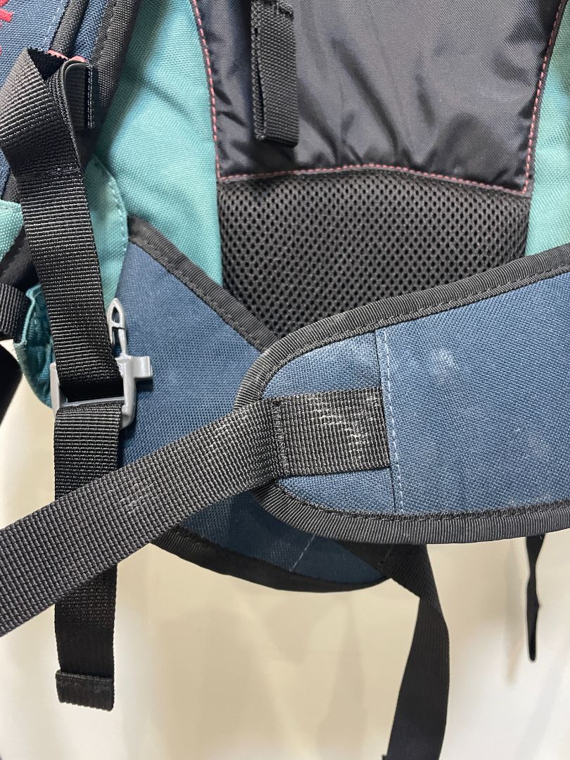 Green Dakine Heli Pro Backpack