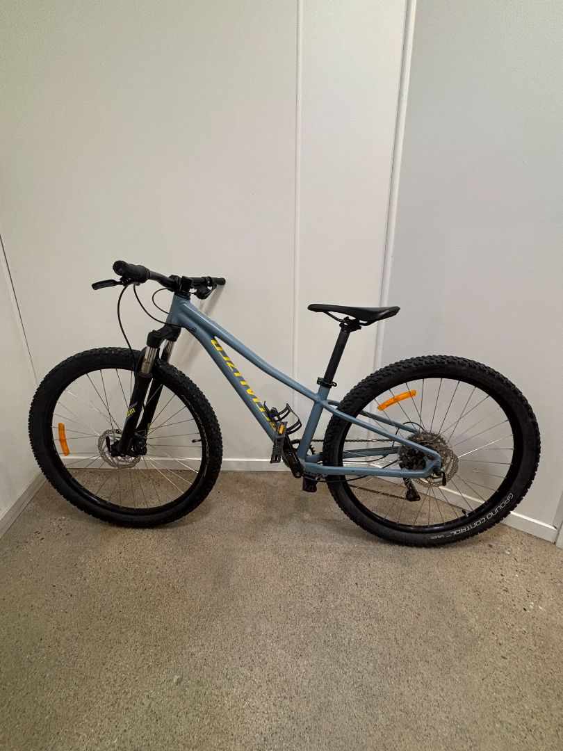 Steel Blue Specialized Pitch, Small