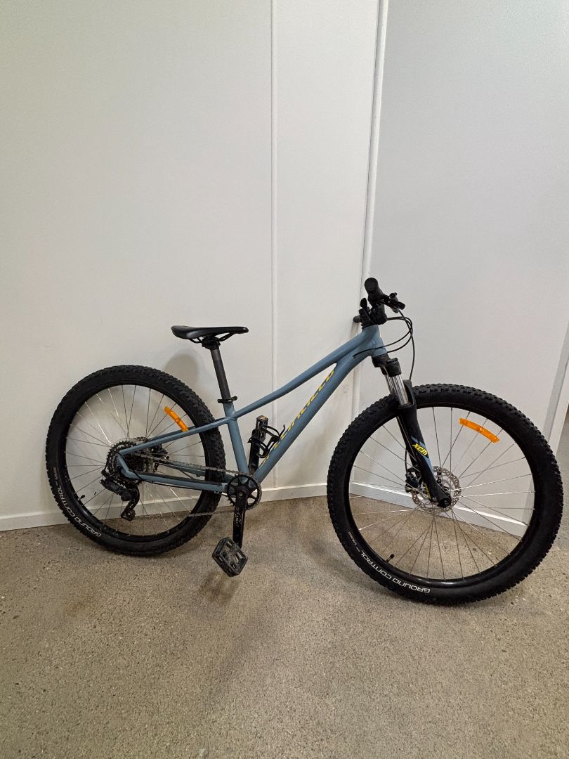 Steel Blue Specialized Pitch, Small