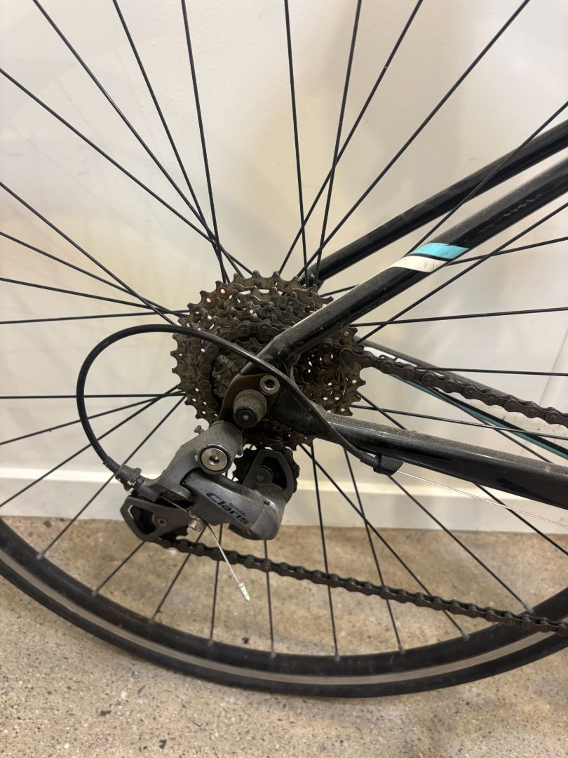 Black / Teal Specialized Dolce, Small