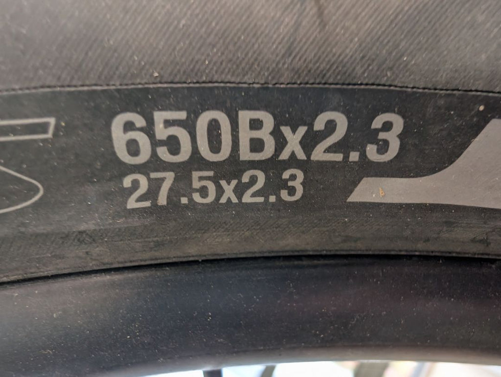 Acid Mint Specialized Roll Sport Low-Entry, L