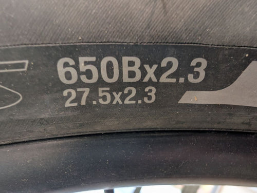 Acid Mint Specialized Roll Sport Low-Entry, L