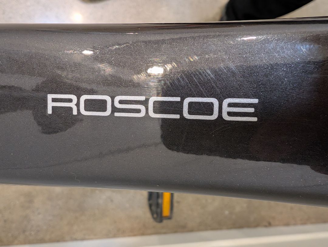 Red Trek Roscoe 24, 24" kids