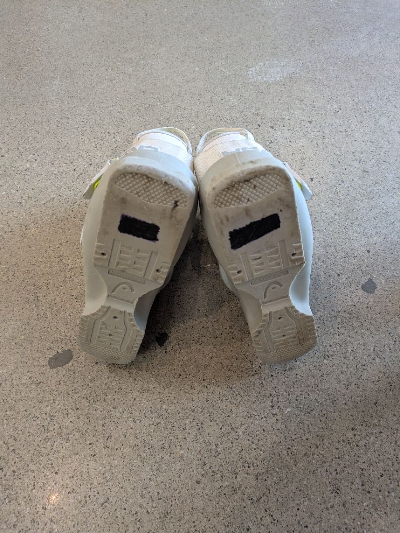 Grey Head Raptor 90 RS, 23/23.5