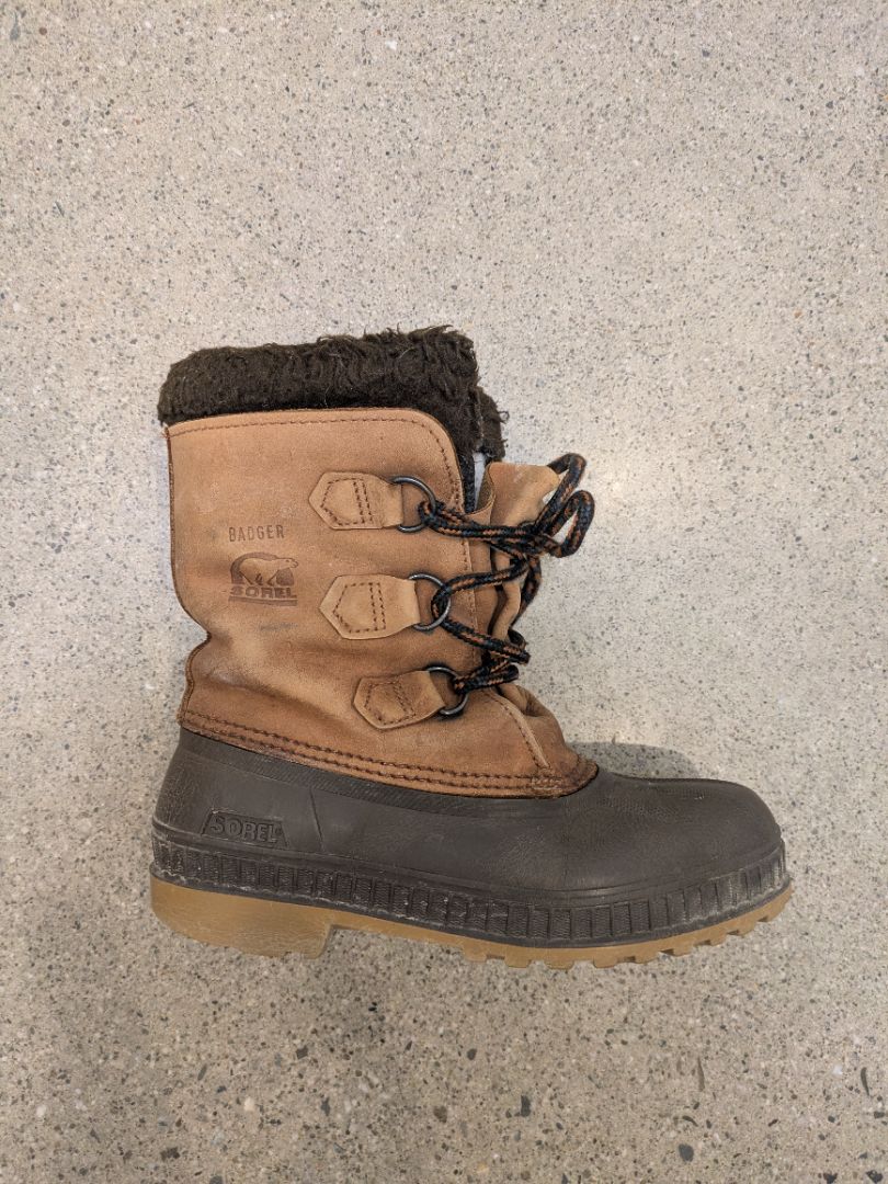 Brown Sorel Badger, EU 35