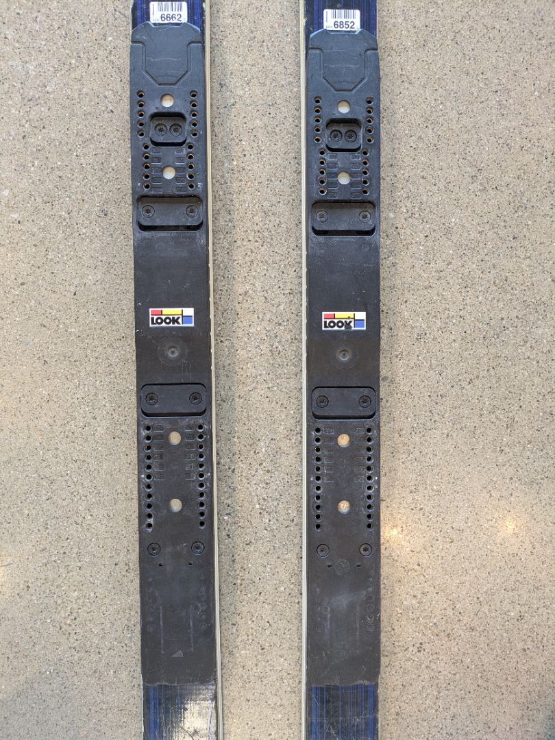 Blue Dynastar Speed Course WC GS, 175 cm