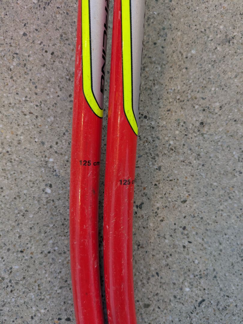 Red Leki Worldcup GS, 125 cm