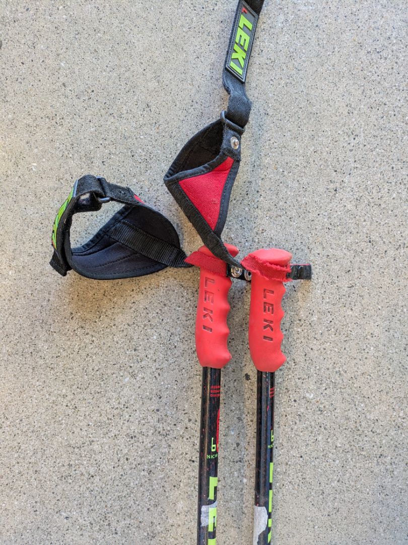 Red Leki Worldcup Racing GS, 120 cm