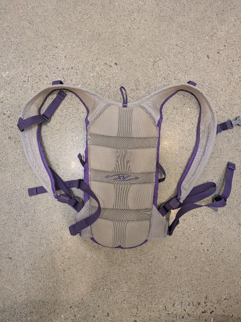 Purple CamelBak Magic