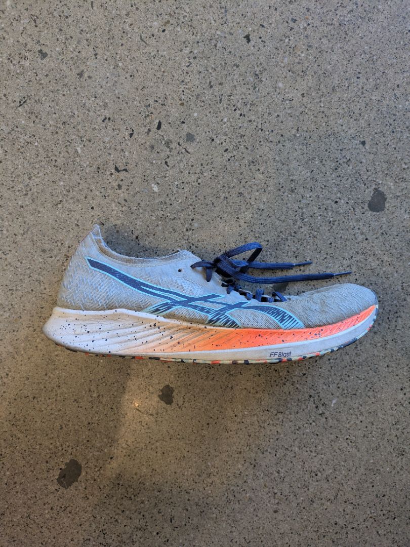 Grey Asics Noosa Tri 15, EU 46