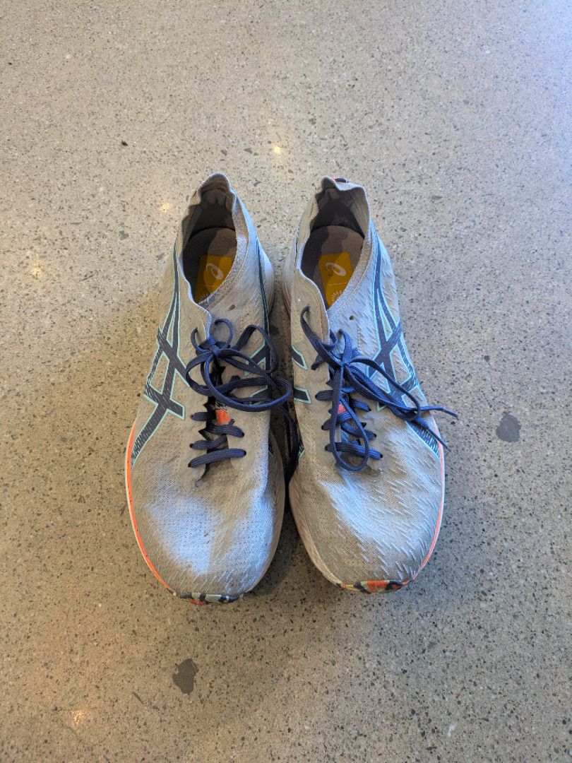 Grey Asics Noosa Tri 15, EU 46