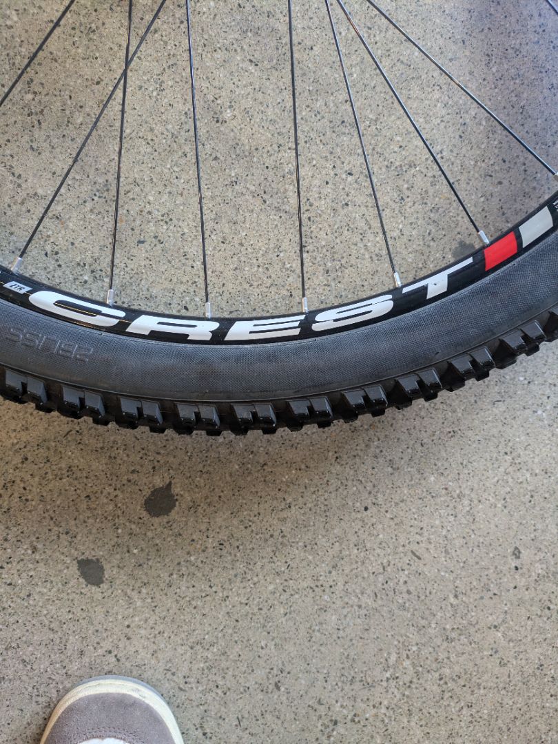 Black Stan's NoTubes ZTR Crest 29, 29"