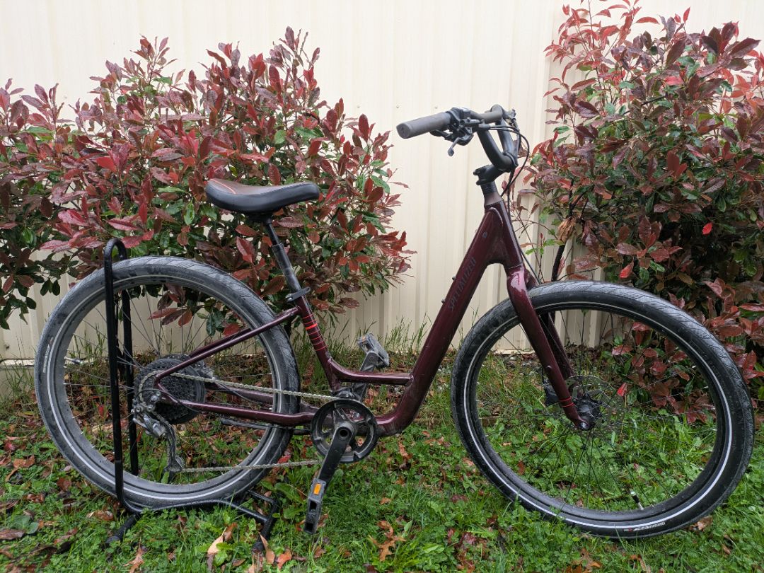 Burgundy Specialized Roll Elite Low-Entry, S