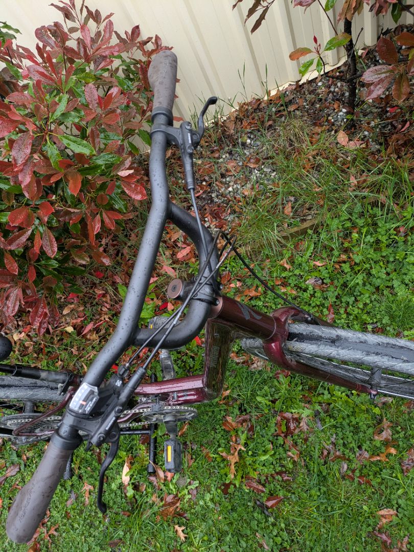 Burgundy Specialized Roll Elite Low-Entry, S