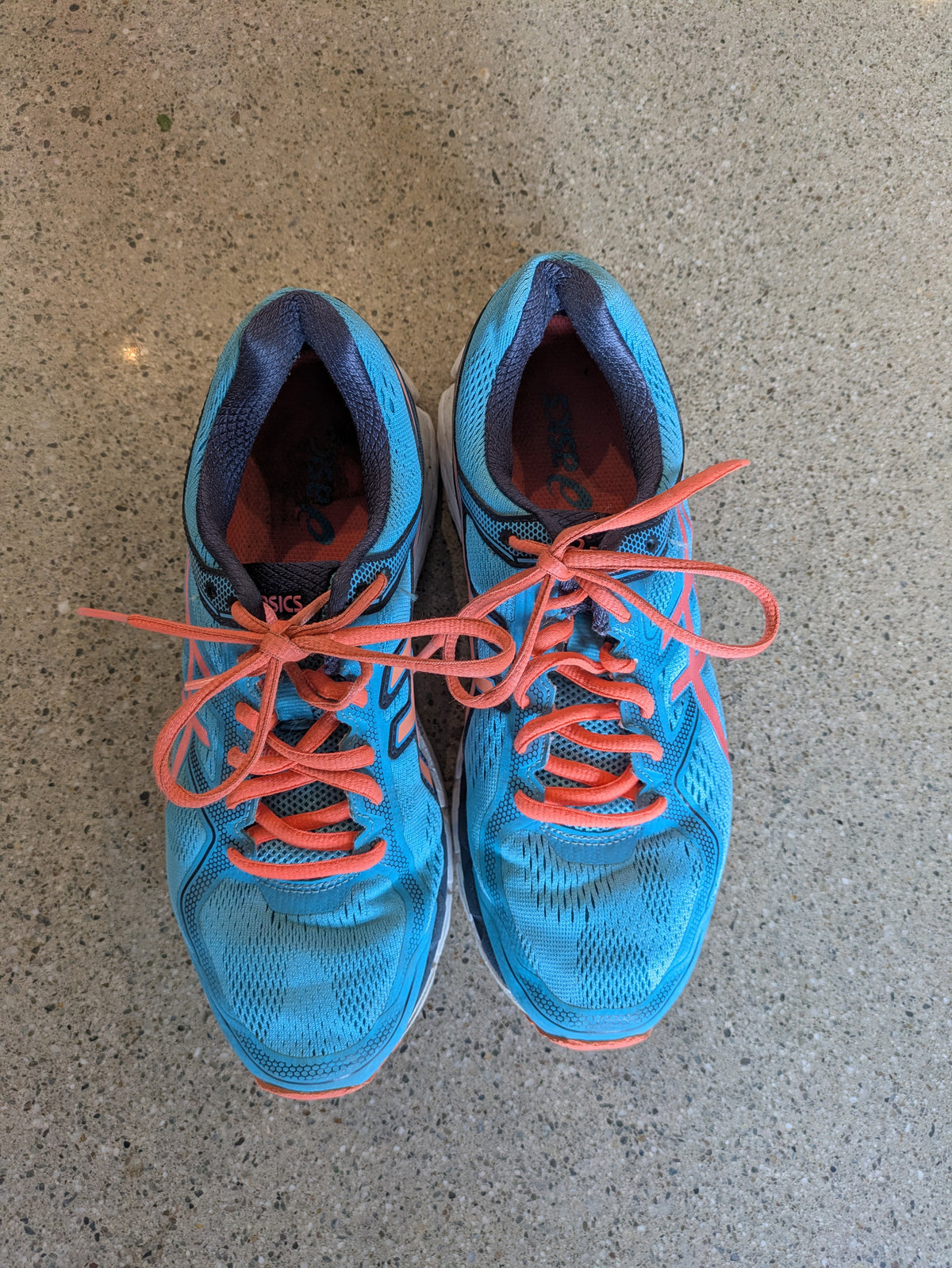 Blue Asics GEL-Surveyor 5, EU 40