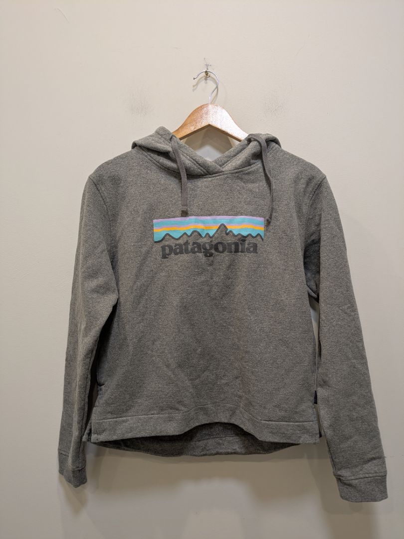 Grey Patagonia Logo Pullover Hoodie, S